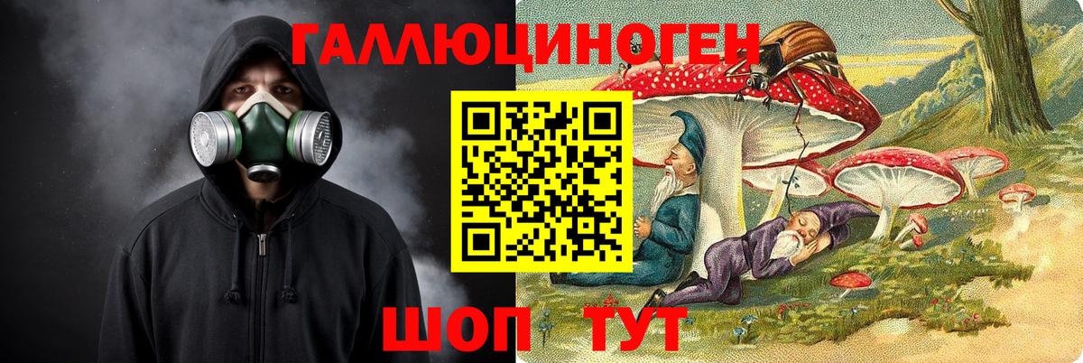 Псилоцибиновые грибы Cubensis  Вход с VPN  Звенигород 