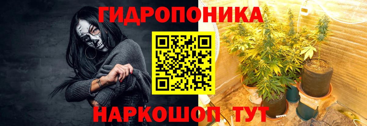 Бошки марихуана тримм  Вход с VPN  Каннабис планчик  Звенигород  Шишки марихуана план 